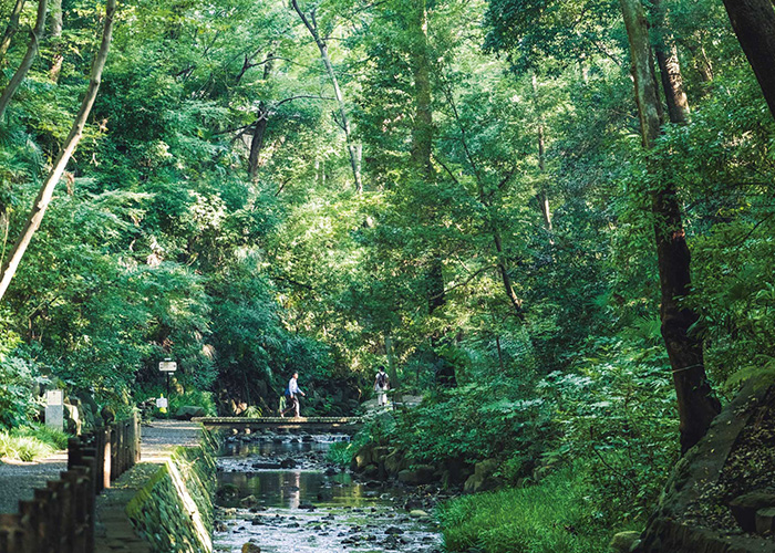 ディアナプレイス尾山台