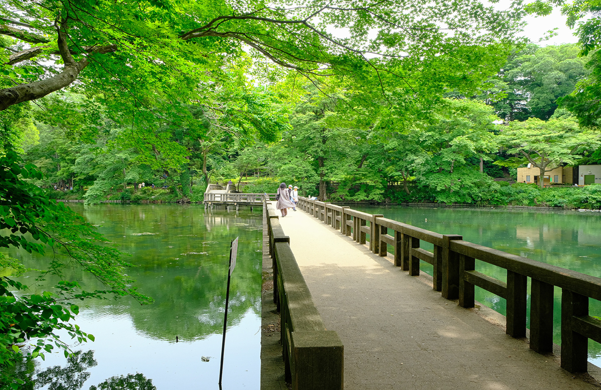 井の頭恩賜公園（徒歩約16分）