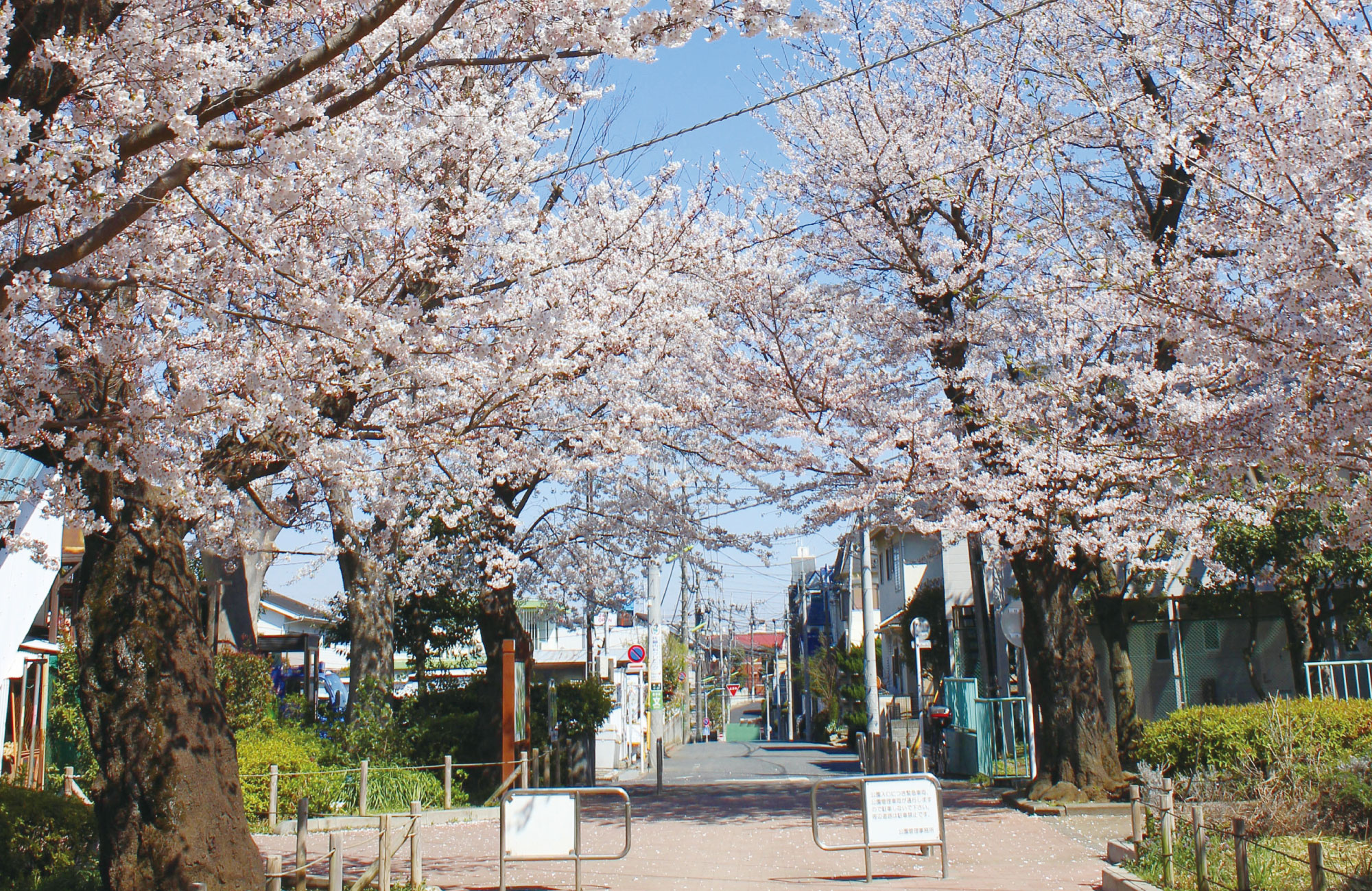 羽根木公園（徒歩約6分）