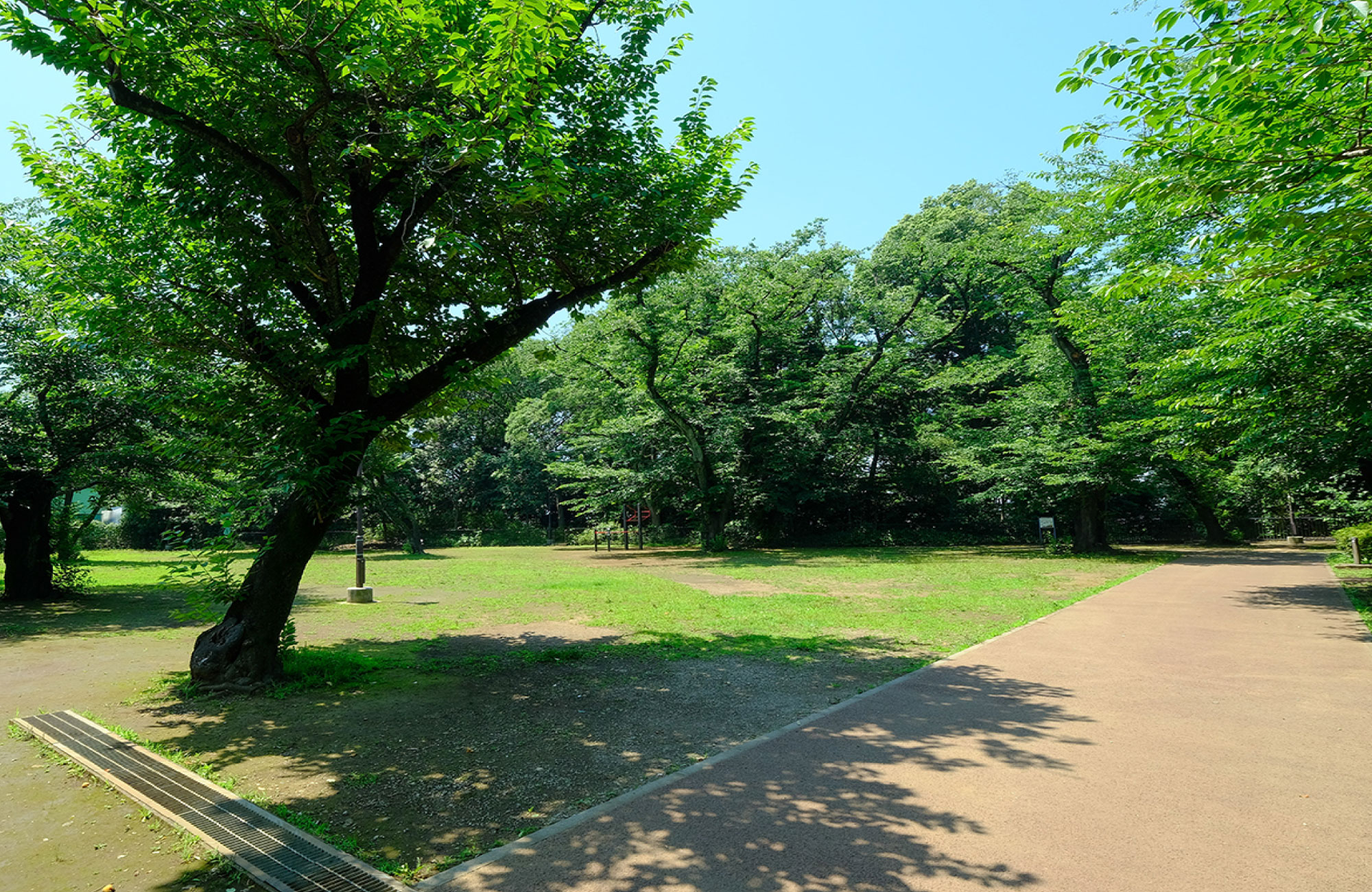 上野毛自然公園（徒歩約13分）