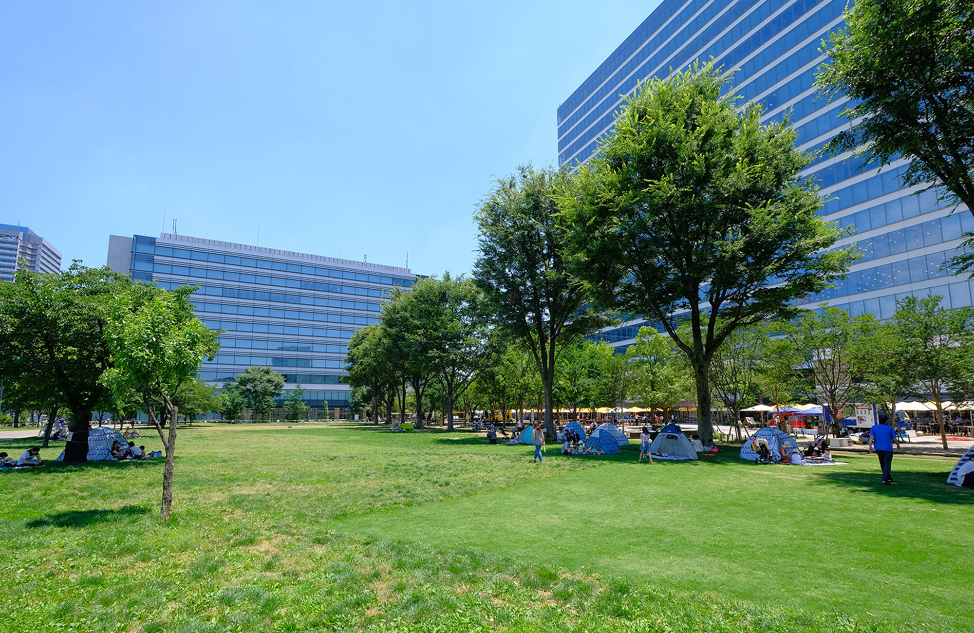 中野四季の森公園（徒歩約8分）