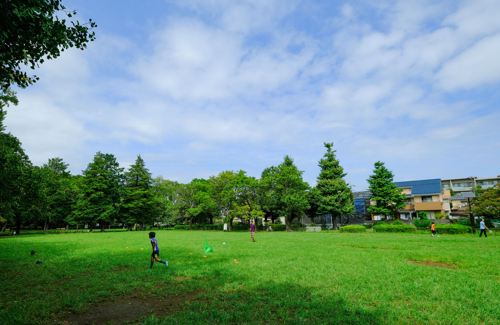 善福寺川緑地（徒歩約6分）