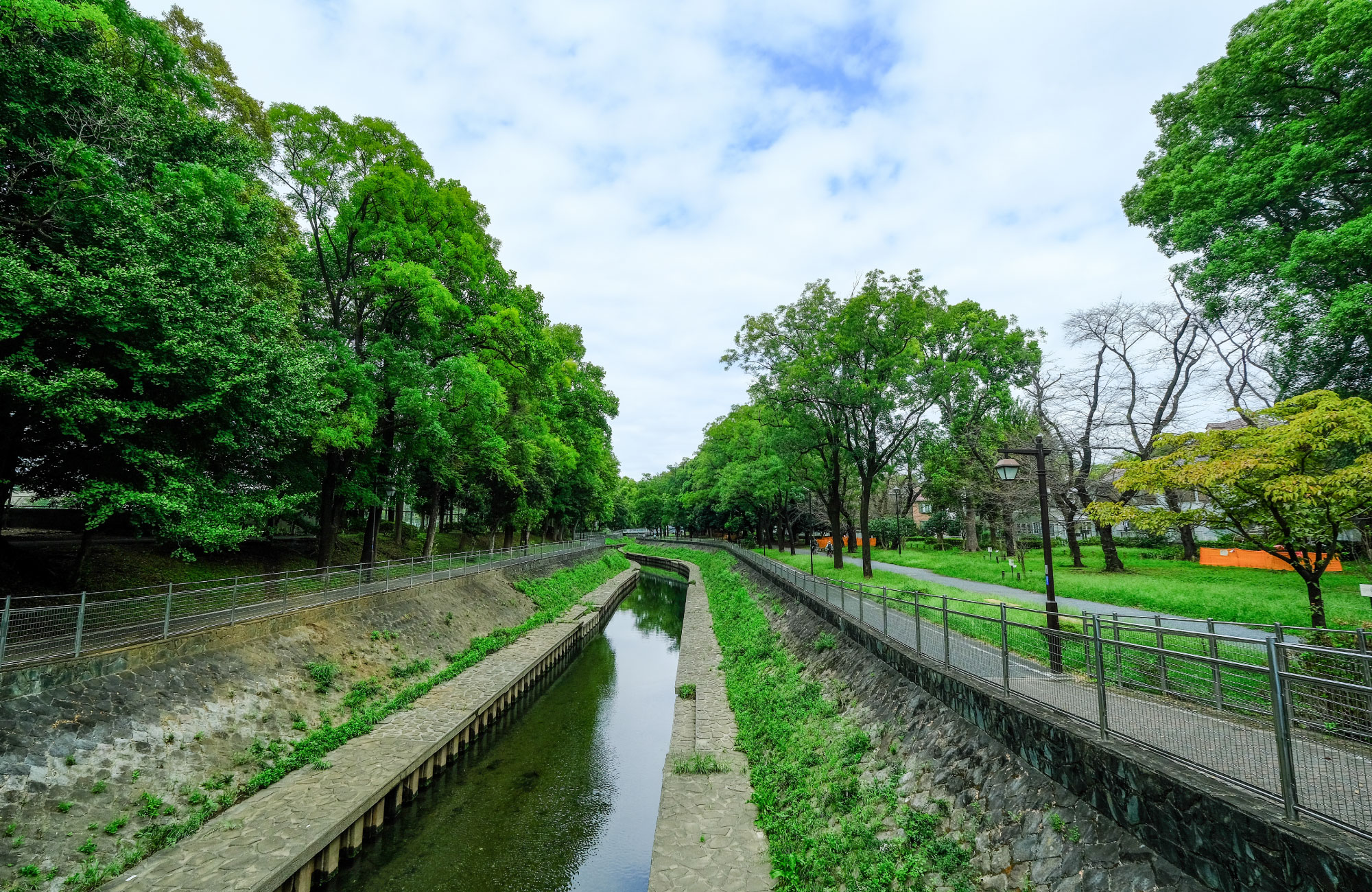 善福寺川緑地(徒歩約6分)