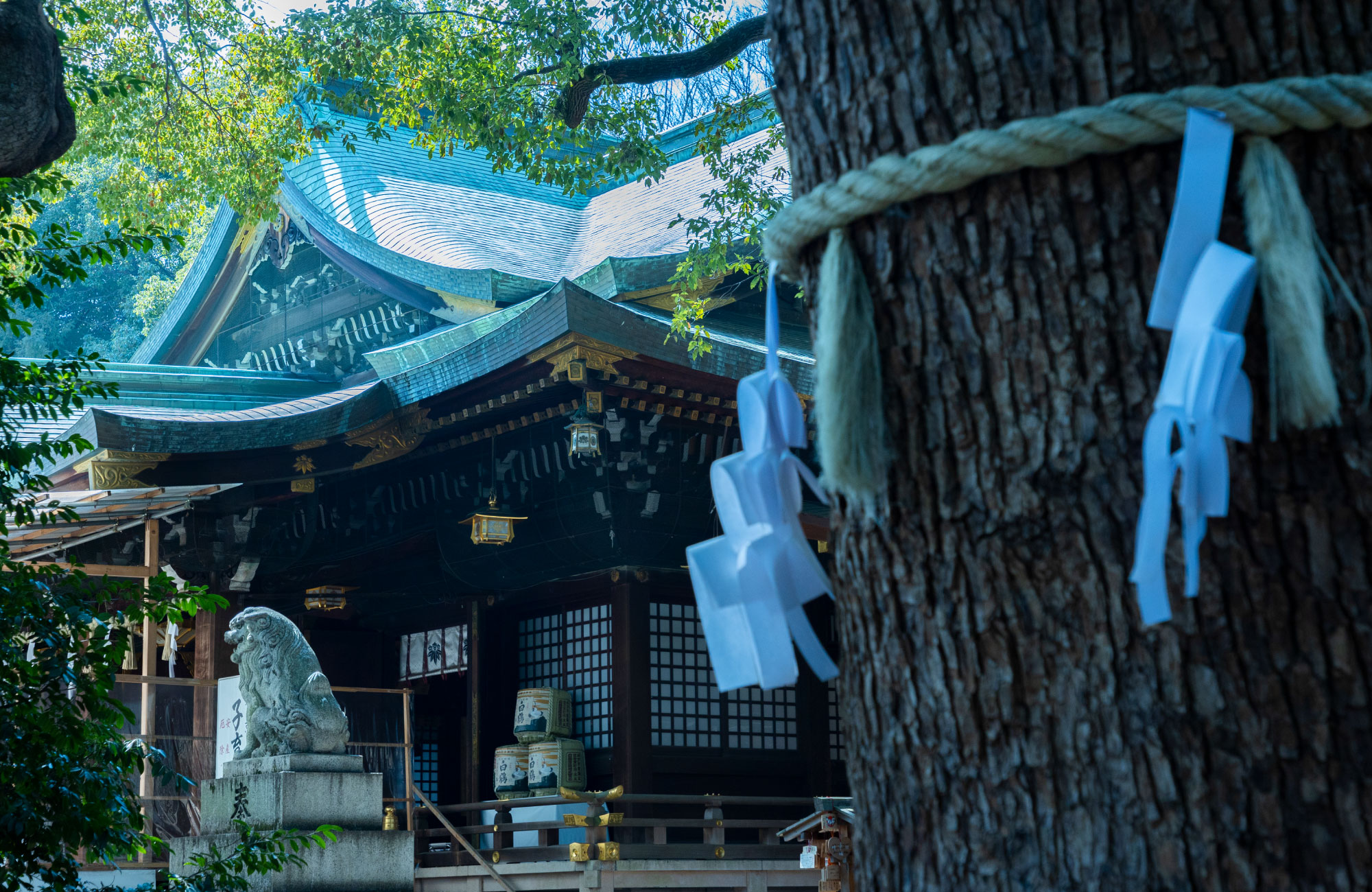 大宮八幡宮(徒歩約5分)