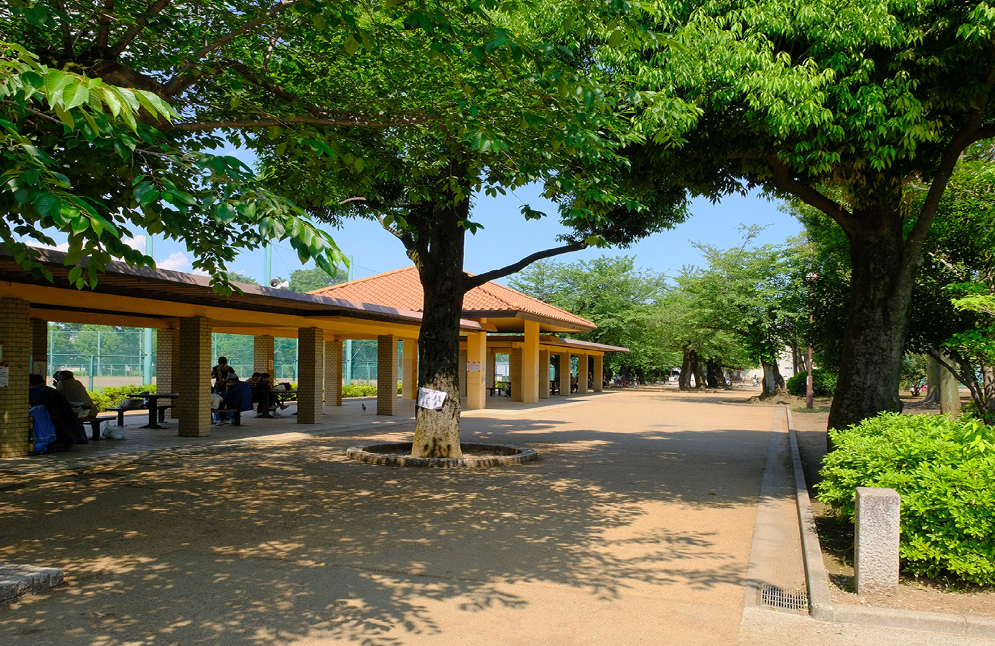 世田谷城址公園