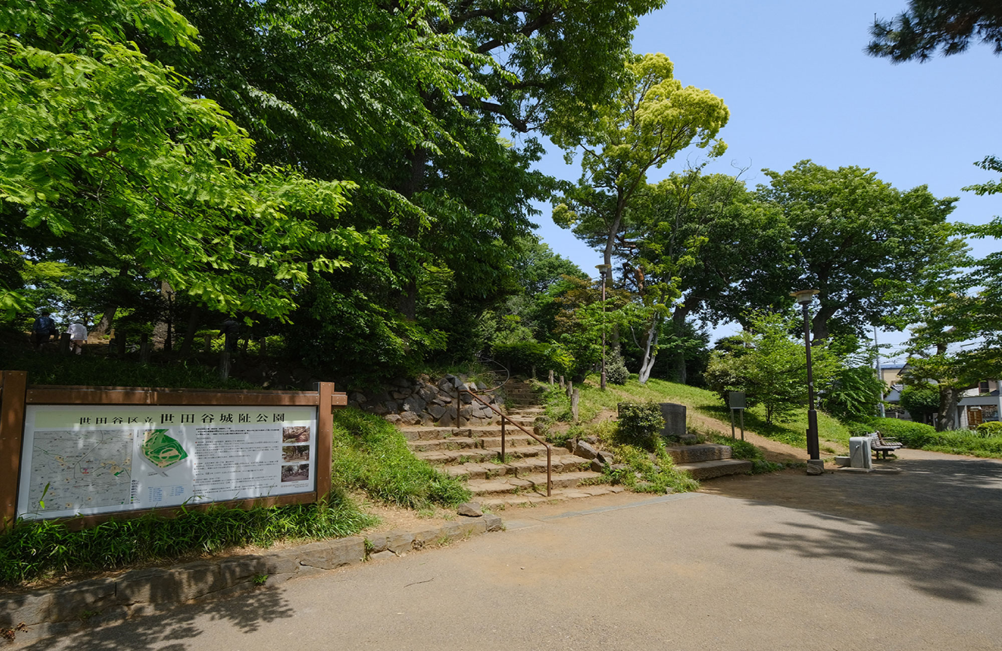 羽根木公園