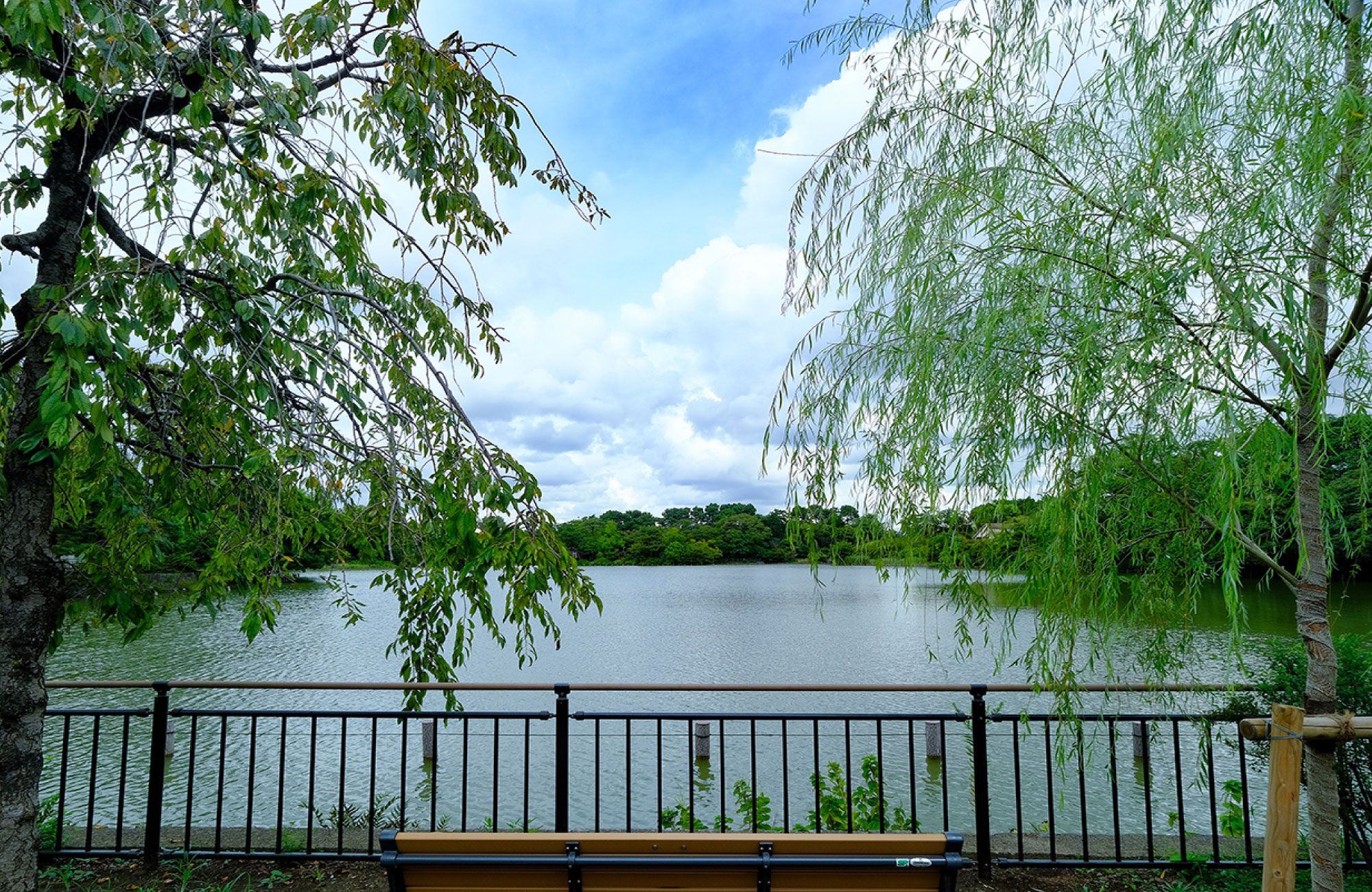 洗足池公園（徒歩約17分）