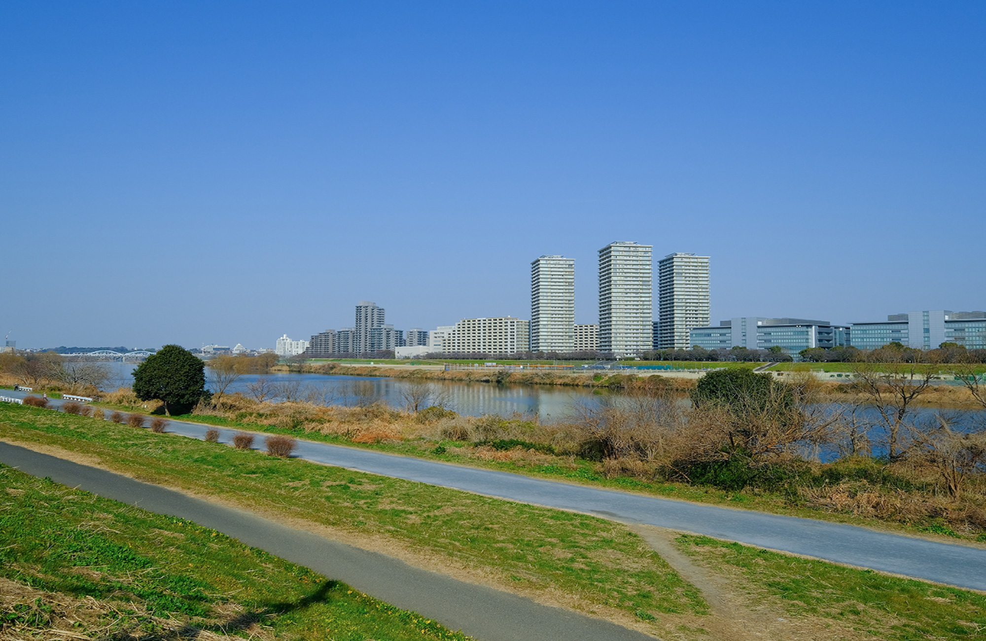 多摩川緑地（徒歩約11分）