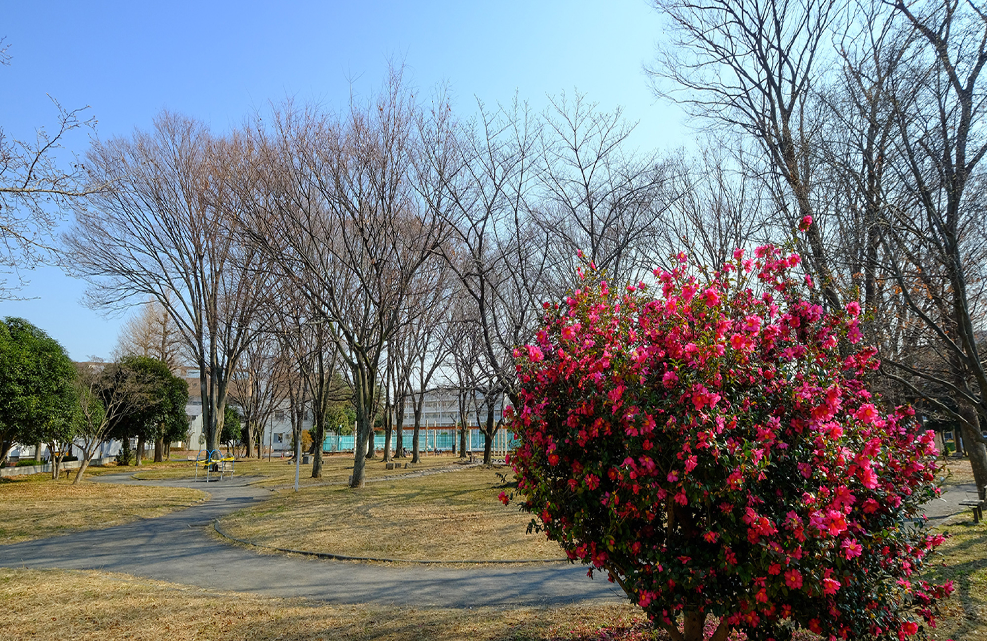 平間公園リエカの森（徒歩約4分）