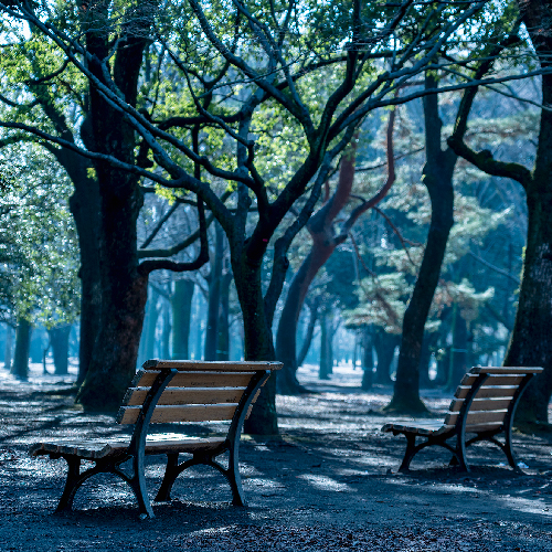 モリモトホーム「Land土地」イメージ3